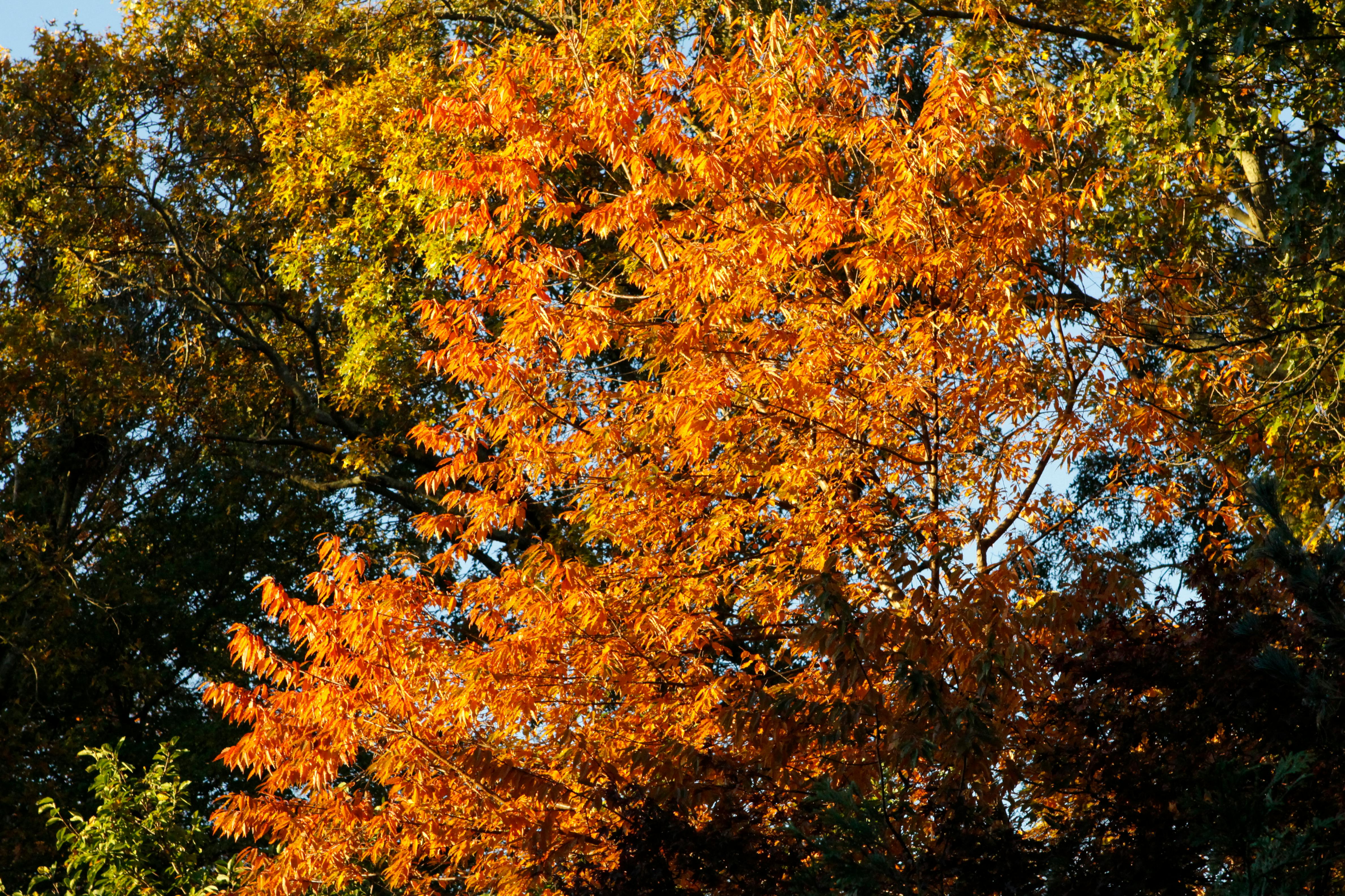 Вариант Волны стоя: лёгкое покачивание как лилии в воде, спина не фиксируется.