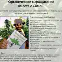 Как вырастить эфиромасличное растение в домашних условиях за 75 дней
