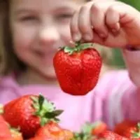 Бацзы - Грабители богатства