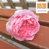 Английская пионовидная роза и Алая роза из фоамирана