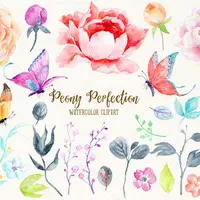 Акварель клипарт Пион Совершенство