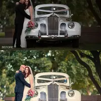 40 профессиональных свадебных пресетов