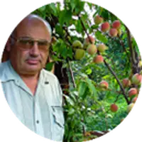 III всероссийский интернет-марафон «Огород от А до Я»