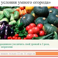 Все условия умного огорода