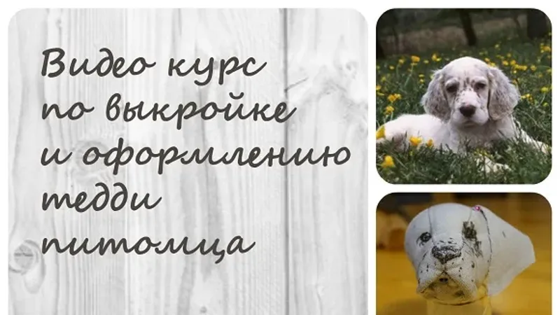 Тедди. Построение выкройки по фото и оформление тедди питомца