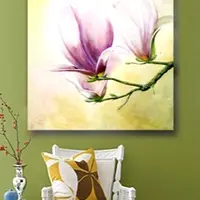 Нежные магнолии