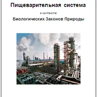 Пищеварительная система в контексте Биологических Законов Природы