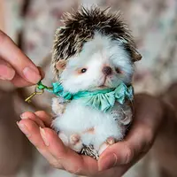 Ёжик Фуфик в технике тедди