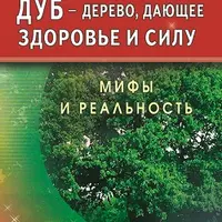 Дуб — дерево, дающее здоровье и силу. Мифы и реальность