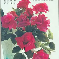 Цветы из шелка