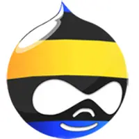 Разработчик сайта на Drupal (2016)