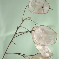 Полимерный хрусталь