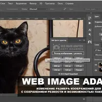 Панель Web Image Adapter