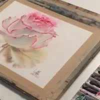 Рисуем двухцветную розу