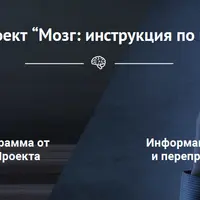 Мозг: Инструкция по применению