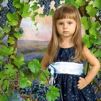 Коллаж Виноград