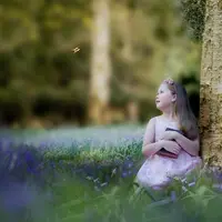 Фоны Специальный набор