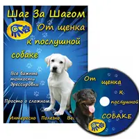 Дрессировка щенка 2.0 - от щенка к послушной собаке