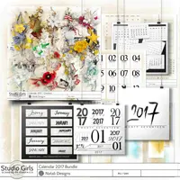 2017 Calendar Bundle