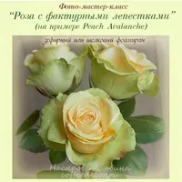 МК Роза с фактурными лепестками: Peach Avalanche