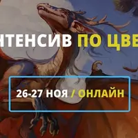 Интенсив по цвету