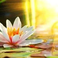 Энергетическая зарядка на целый год