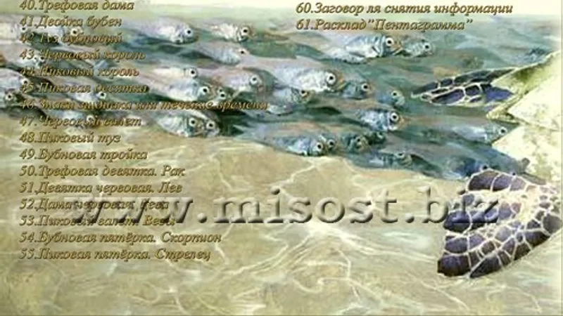 Миниатюра 2
