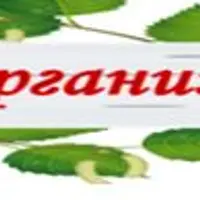 Очищение организма травами