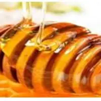 Вам поможет мед. Раскрываем его тайны