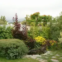 Экосад без затрат