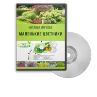 Маленькие цветники