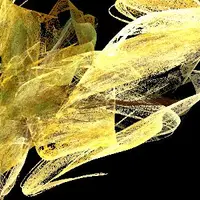 Оздоровление кожи. WhiteGoldenSkinV6