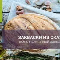 Пшеничная закваска