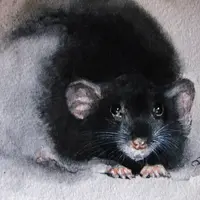 Акварельный курс. От простого к сложному