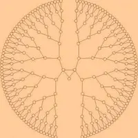 Работа с ресурсной картой рода "Птица"