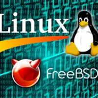 Linux/FreeBSD. Уровень 3. Взаимодействие с сетевым оборудованием Cisco