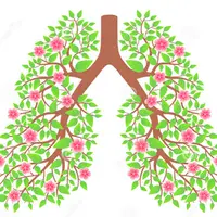 Аюрведические методы оздоровления легких