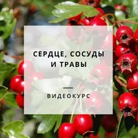 Народная медицина. Оздоровление сердца и сосудов