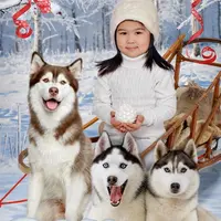 Новогодний коллаж - 2018