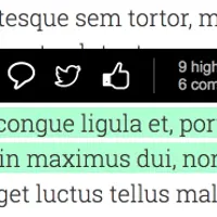 Highlighter Pro для WordPress