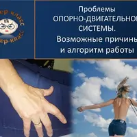 Как вылечить опорно-двигательную систему