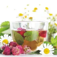 Нутрициология. Природные вещества для замедления старения организма и целебные свойства клюквы