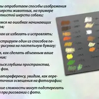 Анималистика пастелью. Кокер-спаниель