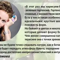 Цветы пастелью: Гортензия