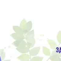 Натуропатия. Сердечно-сосудистая система