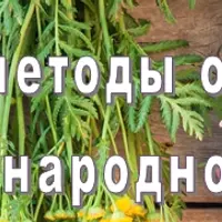 Секреты здоровья наших предков. Фитотерапия при простуде, кашле, для укрепления иммунитета