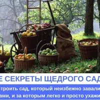 Все секреты щедрого сада