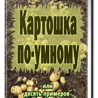 Картошка по-умному