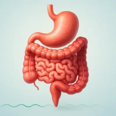 ЖКТ: Сеансы для поджелудочной железы и кишечника