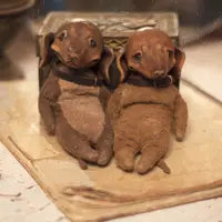 Пошив таксы